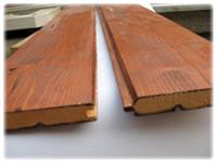 Lambrius gros din molid